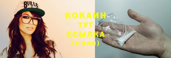 mdpv Няндома