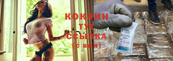 mdpv Няндома