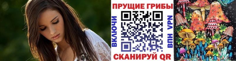 Псилоцибиновые грибы мицелий  Болхов 
